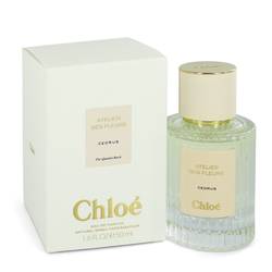Chloe Cedrus Eau De Parfum Spray By Chloe - Le Ravishe Beauty Mart