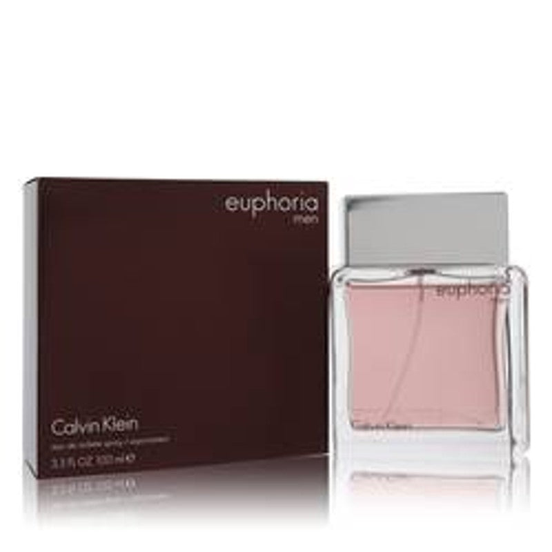 Euphoria Eau De Toilette Spray By Calvin Klein - Le Ravishe Beauty Mart